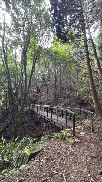 悠遊林鐵遺跡2878127