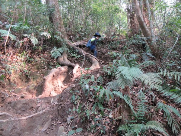 20200321-白毛山886571