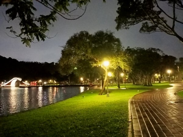 大湖公園《雨中夜行》1904693