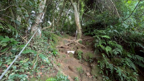 114.08.09溪洲山-新溪洲山之旅2856797