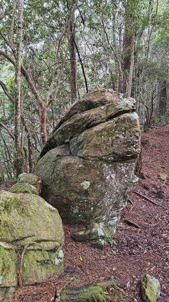 屯野生台山、石麻達山2993168