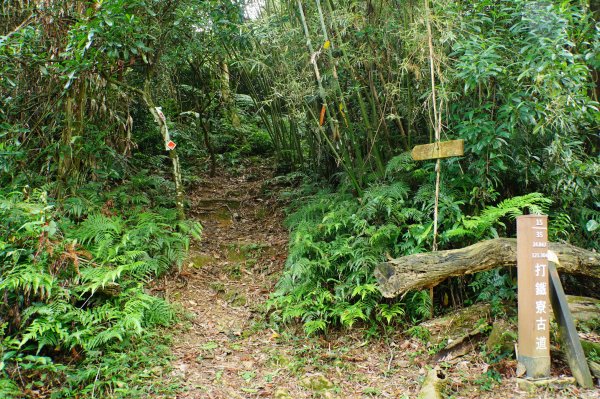 桃園 大溪 草嶺山、白石山、十三分山3040378
