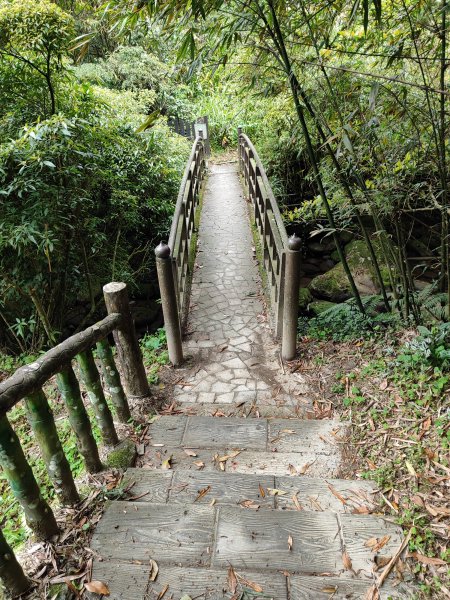 臺北大縱走第七段&第八段3019202