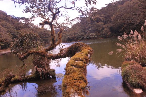 新年抓鬼去275168