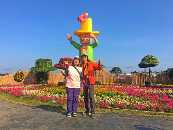 2019新社花海2019/11/12734655