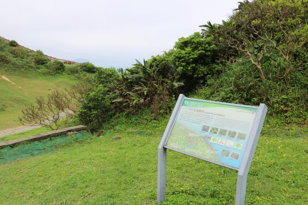 一路向海去~療癒的海景步道望幽谷濱海步道755022