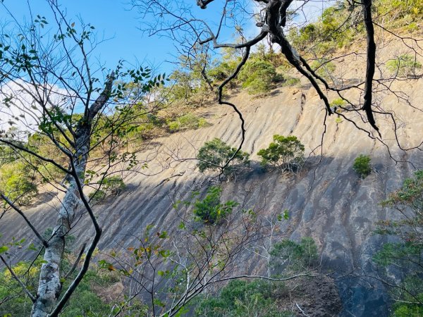 1150123里龍山2986725