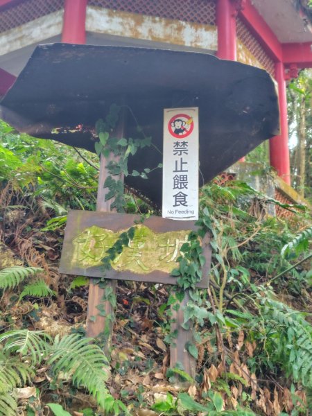 鳳鳴古道 鳳鳴山 南隘勇（南長城）古道 三湖山 八達嶺（龍骨）古道 綠色古道 延平古道2975257