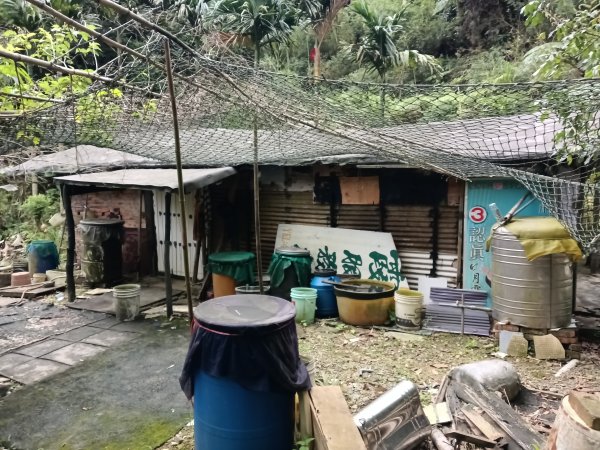基隆市金針谷農家-深澳山O型3039987