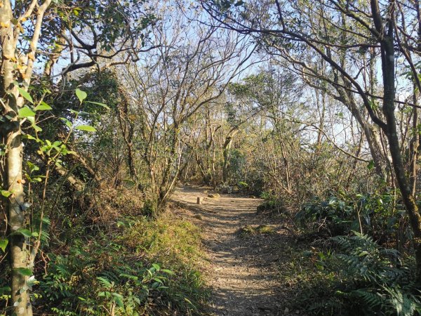 猴山岳萬壽路登山口-猴山岳-林家草厝-猴山岳山腰路-泰元農場 踽踽獨行之二2720846