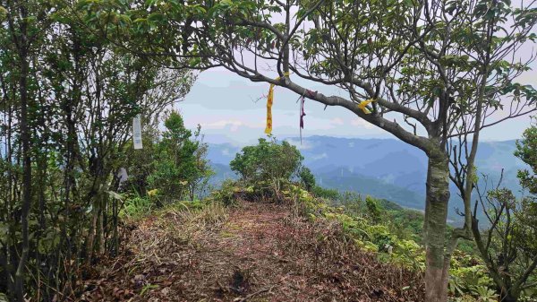 20250519石碇大崙-南勢坑山-鑽石峰-人頭面山-南勢坑大尖-小尖山主前北峰2791607
