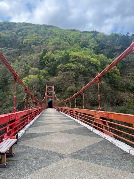 桃園 復興 巴陵隧道3011936