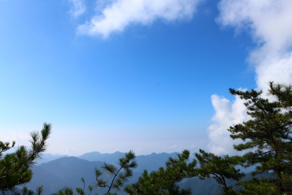 鳶嘴山，俯瞰西海岸，遠望玉山秀姑巒58063