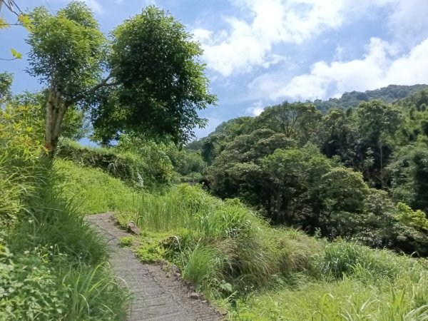 汐止區姜子寮田園步道+旗尾崙+姜子寮絕壁、瀑布O型2822239