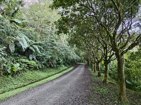 2025_0920 東滿步道2892706