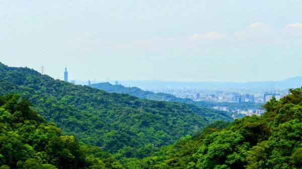 南港茶葉製造示範場3036258