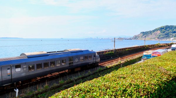 鹿兒島仙巖園3028086