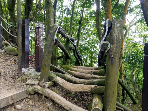 頭嵙山(小百岳#41)大坑4,5,1步道1003718