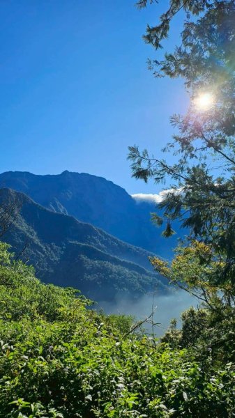 20251106北大武山步道☁️ 喜多麗雲海2931387