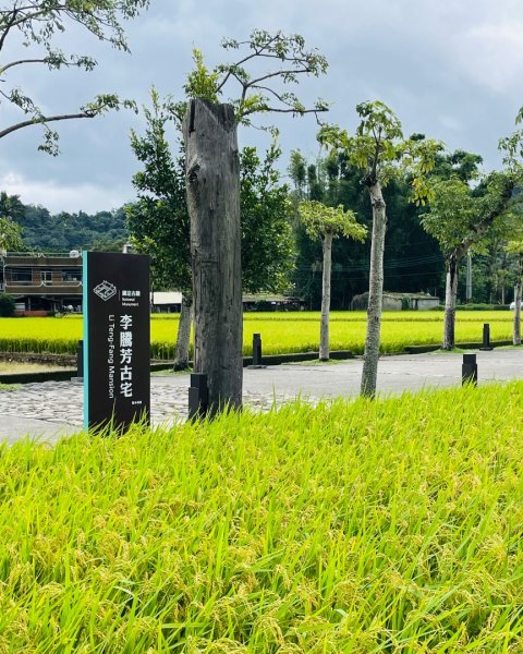 桃園大溪-花彩節🌼李騰芳古厝-月眉落雨松2934762