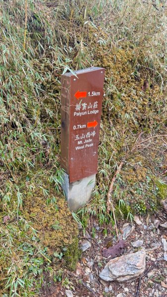 東埔-排雲-玉山西峰-玉山主峰2753141