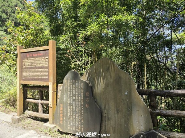 【南投鹿谷】溪頭天文台登山步道3037361