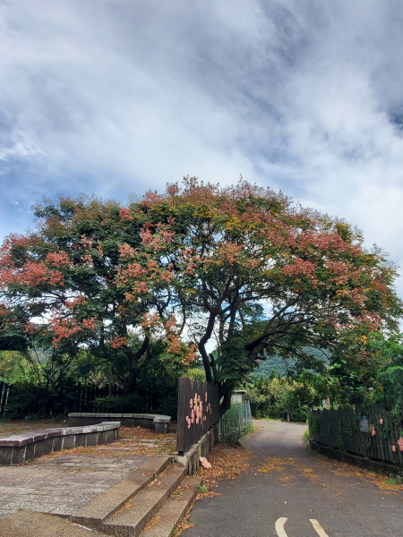 風尾，樂山，樂水，六窟