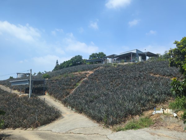 2025.10.05－阿罩霧山、中心瓏步道2908086