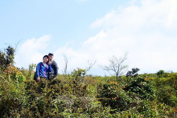 頂山石梯。擎天崗O型2018.03.24296031