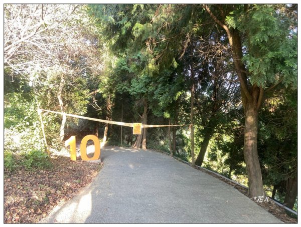 軍功寮山、大坑9、7、6、9-1步道 O型一圈2950789