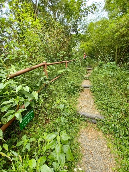 【嘉義竹崎】說好的稜線風景呢。阿拔泉山稜線步道連走獨立山O繞2684140