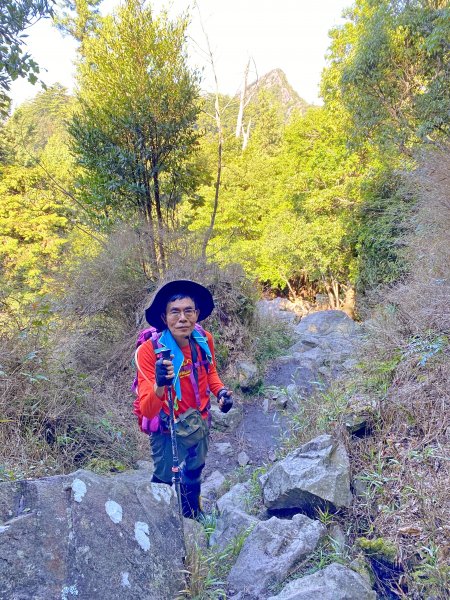 鳶嘴稍來神木、稍來山O型走20209151102471