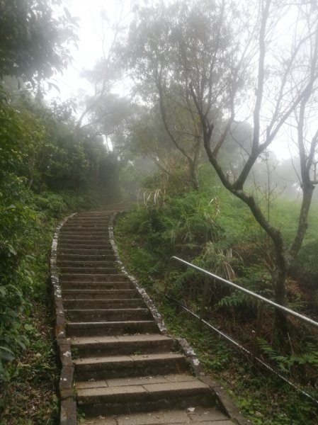 小百岳013號～南港山，幾乎整路爬樓梯，不怕樓梯者限定1348539