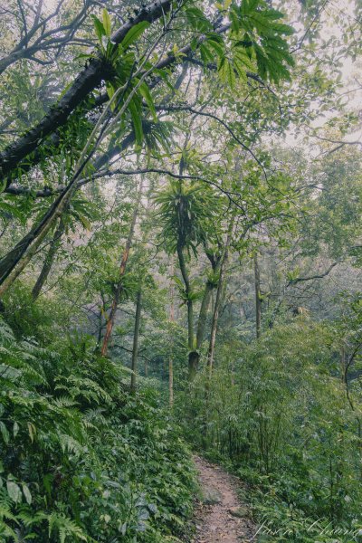 [新北]二格山2730203