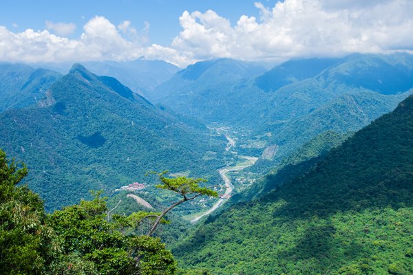 白毛山3085418