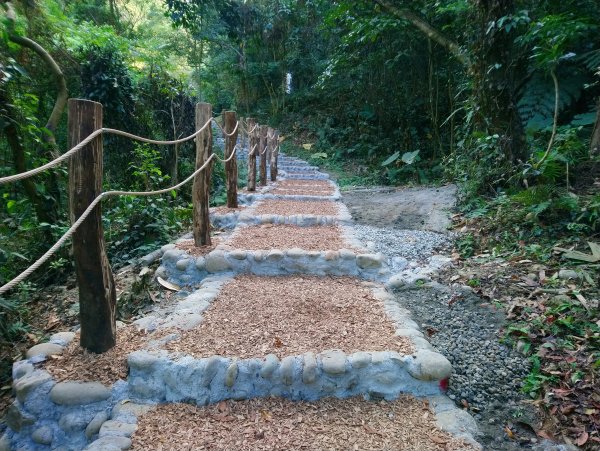 大坑步道全包一起登( 2 3維修)747612