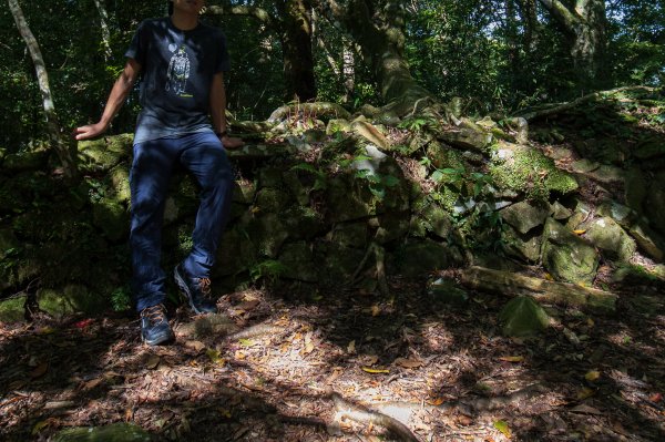 【秀巒-芝生毛台山】砲台遺址1030517