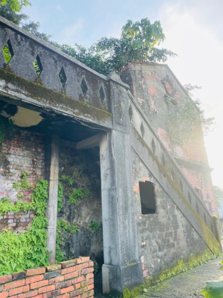 基隆尋找7隻傘人家族2712725