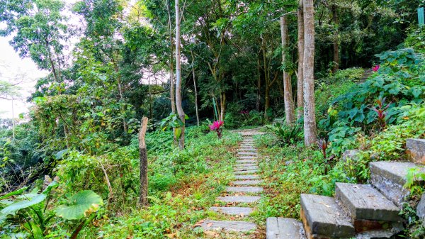 南化刣牛湖山2987497