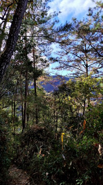 斯可巴步道+馬崙山785768