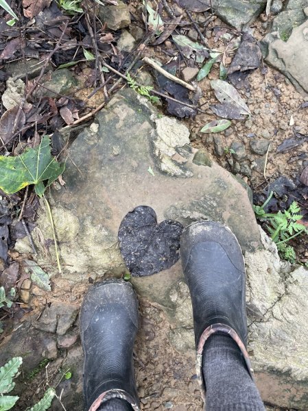 【天上山系】烘爐地土地公段2848205