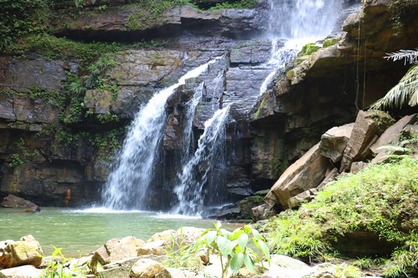 【南投。魚池】山林秘境之美景包場。澀水水上瀑布1428441