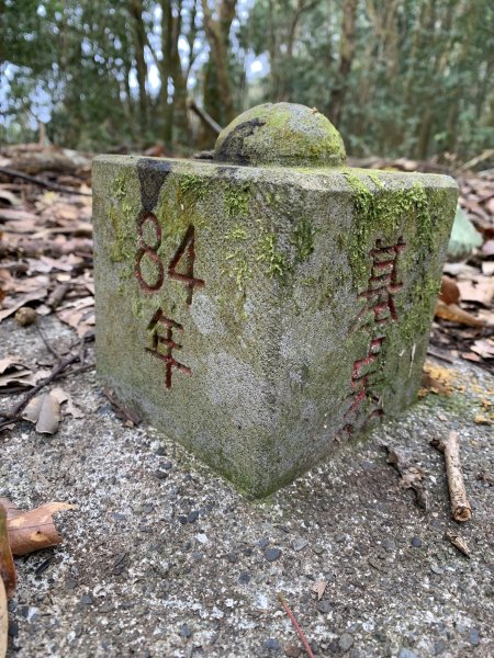 20250129高雄塔羅留山-塔羅留山南峰-他果晏山2705272