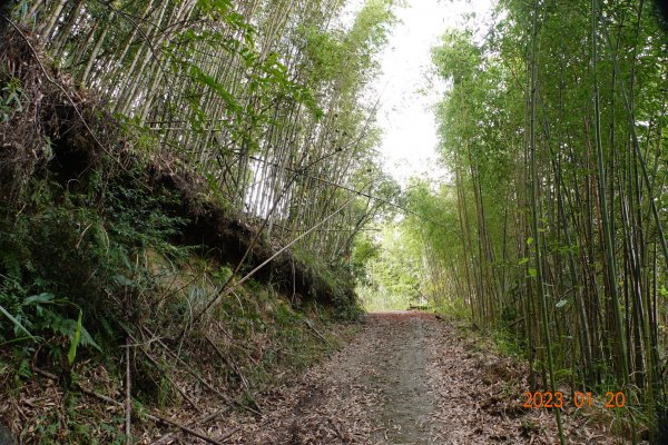 苗栗 南庄 鹿山、鹿坑山2001824