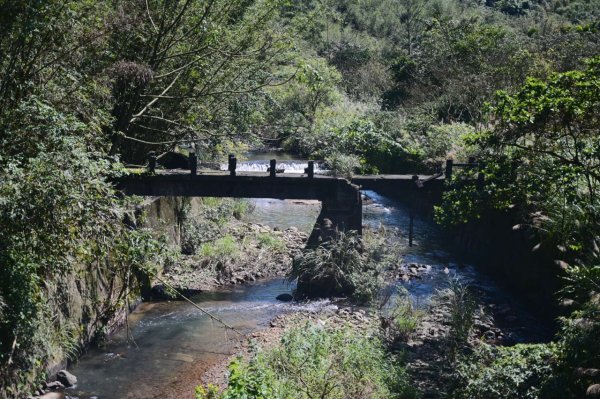 20250228西九份坑山-九份坑山-觀日峰-新厝山-火炎山-美艷山2722415