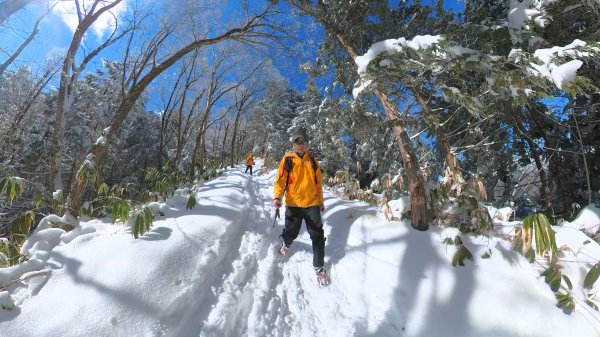 超綺麗夢幻的粉雪奇緣山行記在日本名古屋南沢山2781227