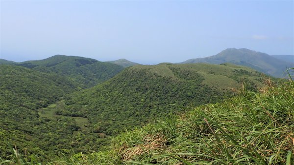 台北最後的淨土磺嘴山自然保護區健行趣1340979