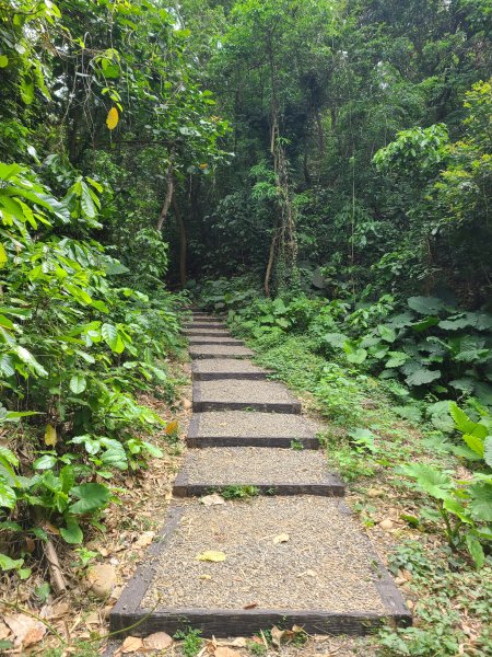 挑水古道+十八觀音步道+大峰巷步道+碧山古道O繞2766194