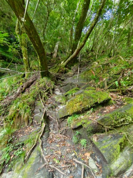 兩颱風之間空擋登屏風山巧遇保育類動物+出大景2237834