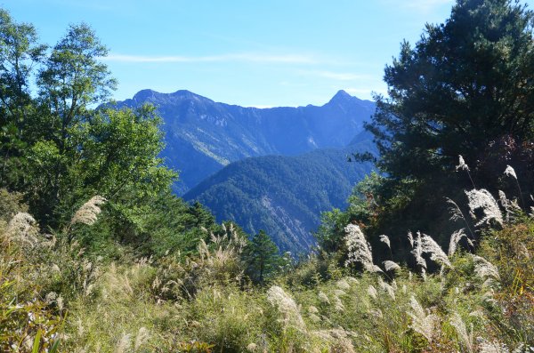 東埔山 & 麟趾山1076208